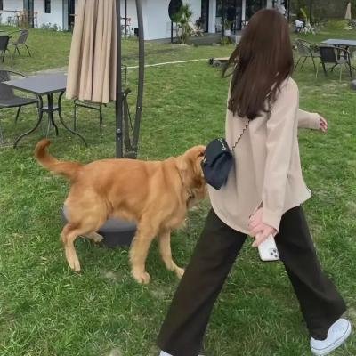 三嫁惹君心